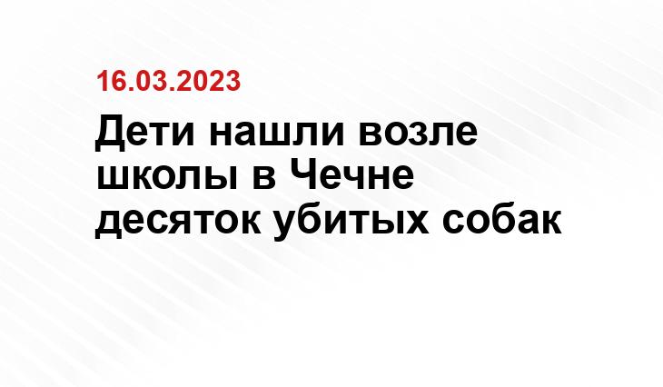 Дети нашли возле школы в Чечне десяток убитых собак