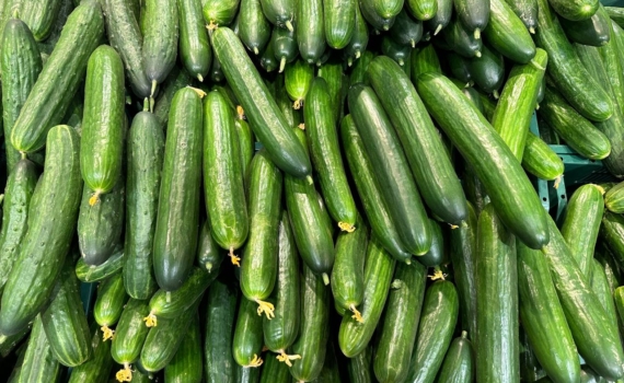 Неожиданная польза соленых огурцов: научный взгляд на привычный продукт — скрытые преимущества