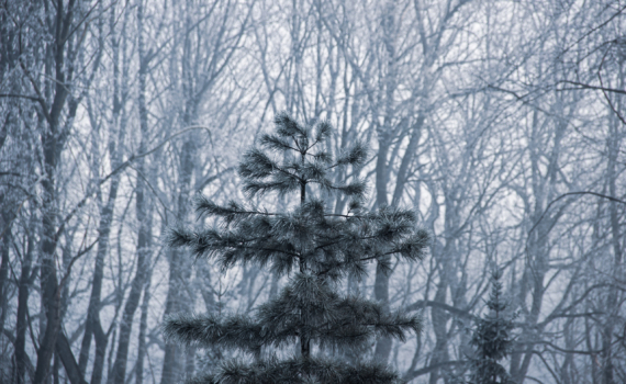 Лунный календарь на 30 ноября 2025: что можно и нельзя — энергия Луны для финального рывка года