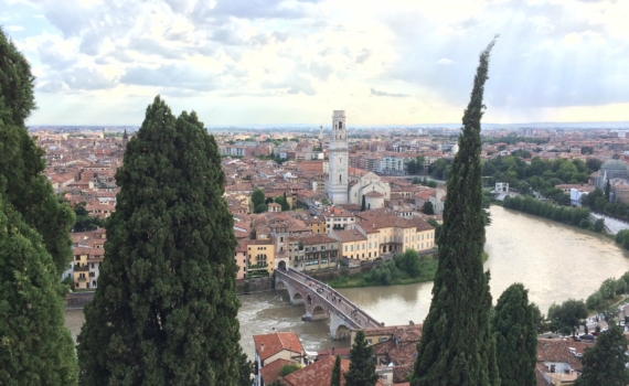 Шилов: Зеленский просил Мелони повлиять на позицию Трампа